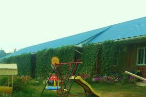 Изображение гостиницы "Гостевой дом «Ирена»"