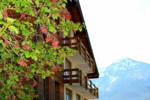 Изображение отеля / гостиницы "Гостевой дом «Велья»"