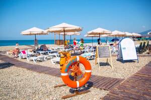 Изображение отеля / гостиницы "Гостевой дом «Аэлита»"