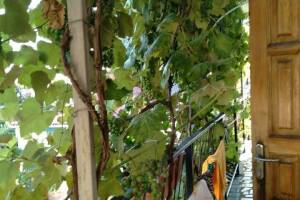 Изображение отеля / гостиницы "Гостевой дом на Киевской"