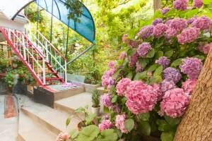 Изображение гостиницы "Гостевой дом «Лилия»"