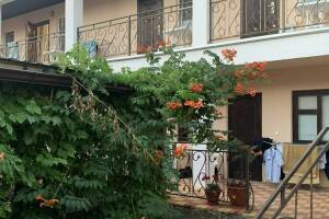 Изображение отеля / гостиницы "Гостевой дом на Луговой"