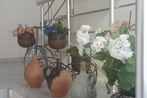 Изображение гостиницы "Гостевой дом «Софья»"