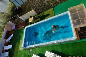 Изображение отеля / гостиницы "Дача «Сафари»"