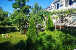 Изображение отеля / гостиницы "Гостевой дом «Цветущий сад»"