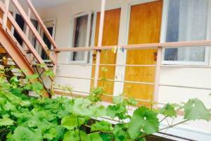 Изображение отеля / гостиницы "Гостевой дом «Софья»"