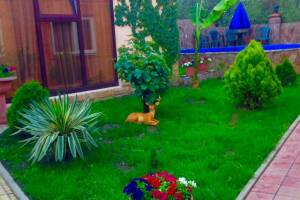 Изображение гостиницы "Гостевой дом «У Дмитрия»"