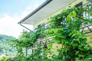 Изображение отеля / гостиницы "Гостевой дом «Приморский»"