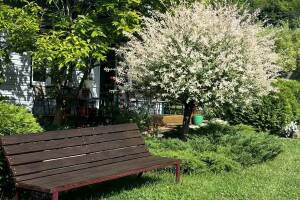 Изображение отеля / гостиницы "Гостевой дом «У Вероники»"