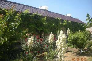 Изображение гостиницы "Пансионат «Лана»"