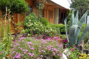 Изображение отеля / гостиницы "Частный сектор «У Нины»"