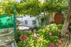 Изображение отеля / гостиницы "Гостевой дом «У тЁти Гали»"