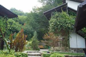 Изображение отеля / гостиницы "Гостевой дом «Икобаи»"