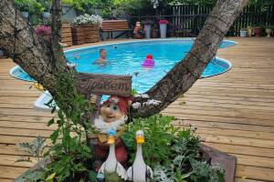 Изображение отеля / гостиницы "Гостевой дом «Персиковый сад»"