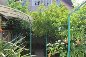 Изображение отеля / гостиницы "Гостевой дом «Колибри»"