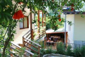 Изображение отеля / гостиницы "Гостевой дом «Астери»"