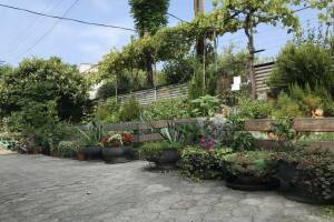 Изображение отеля / гостиницы "Гостевой дом «У Анны»"