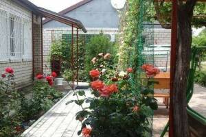 Изображение отеля / гостиницы "Частный сектор «Светлана Благовещенская»"