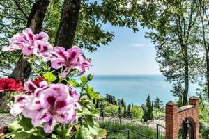 Изображение отеля / гостиницы "Гостевой дом «Милар»"