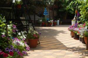 Изображение отеля / гостиницы "Гостевой дом «Адель»"