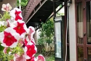 Изображение гостиницы "Гостевой дом «Наш дом»"