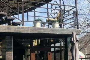 Изображение отеля / гостиницы "Гостевой дом «Султан Сулейман»"