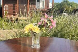 Изображение квартиры / апартамента "Уютный домик возле моря"