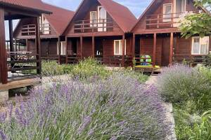 Изображение отеля / гостиницы "Комплекс коттеджей «Villa La Vika»"