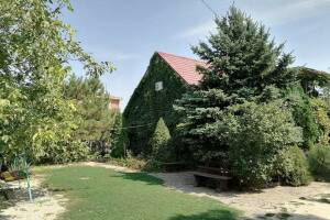 Изображение отеля / гостиницы "Гостевой дом «Под соснами»"