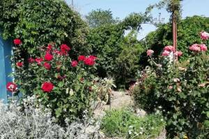 Изображение квартиры / апартамента "Дом под ключ «У Пелагеи»"