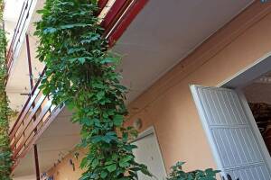 Изображение отеля / гостиницы "Гостевой дом «Хотэй»"