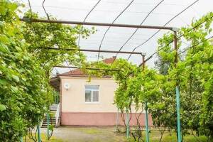 Изображение отеля / гостиницы "Гостевой дом «U Vili»"