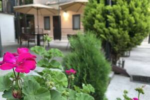 Изображение отеля / гостиницы "Гостевой дом «Sofia»"