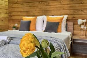 Изображение квартиры / апартамента "Эко-коттедж «Ашта»"