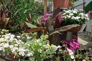 Изображение гостиницы "Гостевой дом «Людмила»"