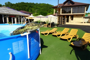 Изображение гостиницы "Гостевой дом «Мия»"