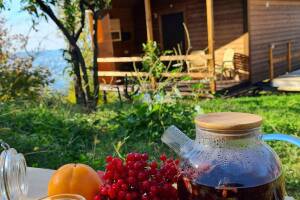 Изображение отеля / гостиницы "Гостевой дом «Панама»"