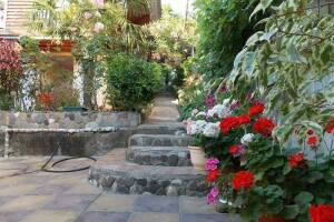 Изображение гостиницы "Домики «Ольга»"