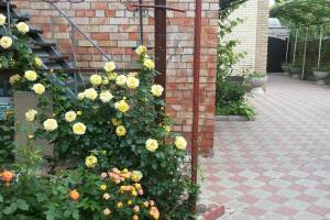 Изображение квартиры / апартамента "Дом под ключ до 5 человек"