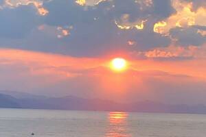 Изображение квартиры / апартамента "Апартаменты на пляже «Дельфин»"