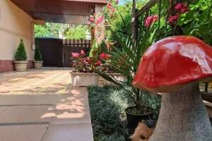 Изображение гостиницы "Гостевой дом «Киви дом»"