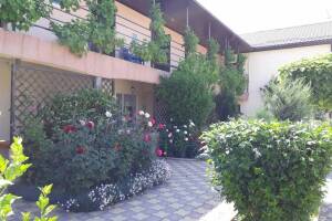 Изображение отеля / гостиницы "Частный дом на Жемчужной"