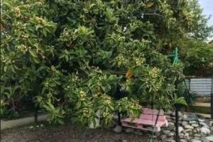 Изображение отеля / гостиницы "Гостевой дом «Ангелина»"