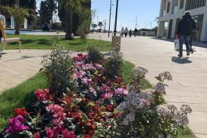 Изображение квартиры / апартамента "Апартаменты «Сардиния»"