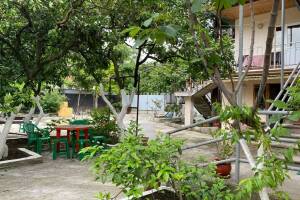 Изображение отеля / гостиницы "Гостевой дом «Мариам»"