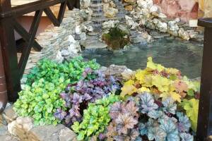 Изображение гостевого дома "Частный дом «Лето»"